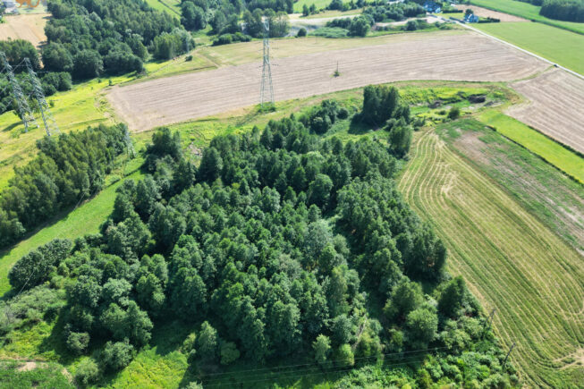 Nieruchomość